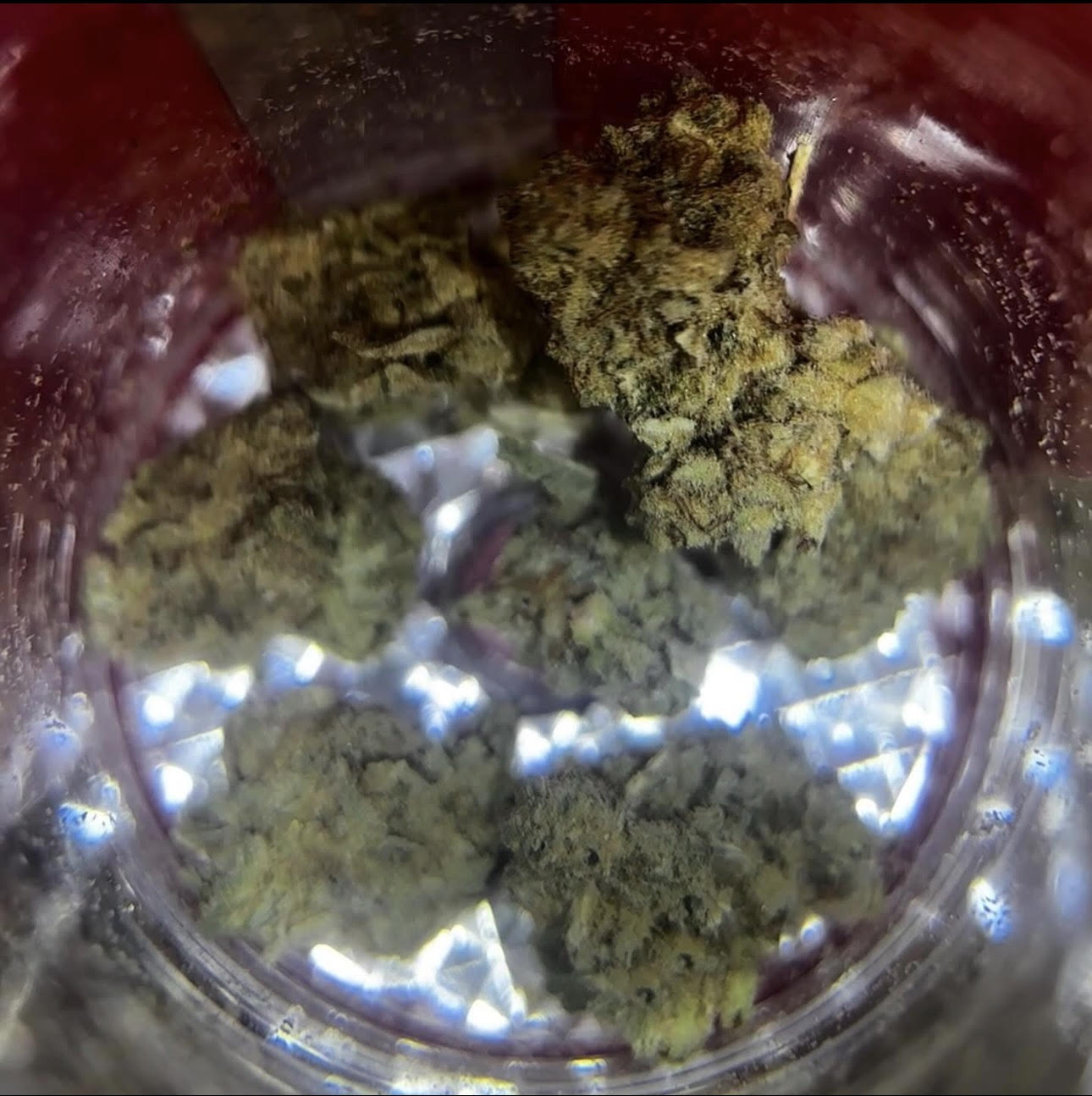 Herbal flower assortment